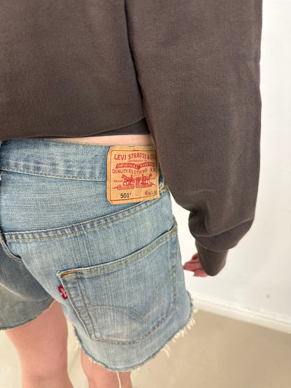 2000s distressed Levi’s 501 shorts
