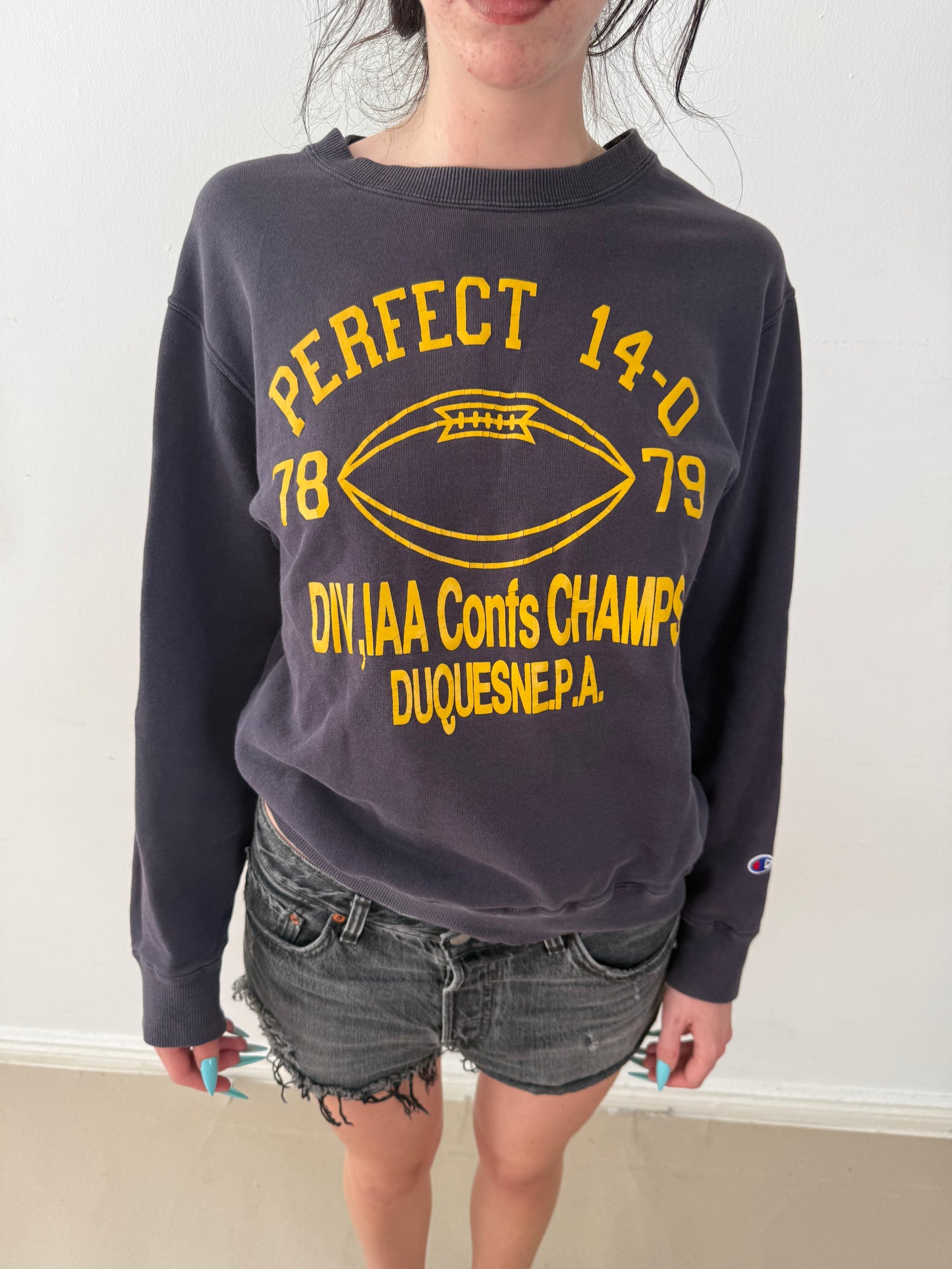 1980s CHAMPION SWEATER